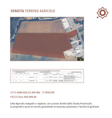 LOTTO AGRICOLO IN OTTIMA POSIZIONE